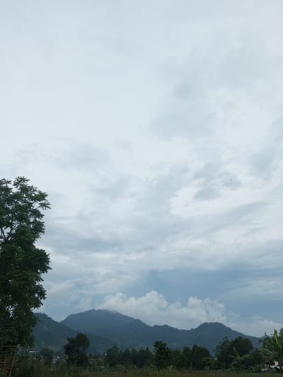The image depicts a natural landscape scene in Abbireddygudem, India, under an overcast sky. The upper two-thirds of the frame are dominated by a cloudy sky, showing various shades of white and grey clouds. A small dark speck, consistent with a bird in flight, is visible in the upper right quadrant. In the left foreground, a large tree with dense green foliage extends from the bottom of the frame upwards and towards the left. A band of dark green vegetation and smaller trees occupies the midground horizontally. In the background, a series of dark green, rolling mountains rise, their peaks partially obscured by clouds or mist. At the base of the mountains on the left side, several light-colored roofs of distant structures, likely houses, are discernible, indicating a settlement. No people or specific actions are visible in the scene.