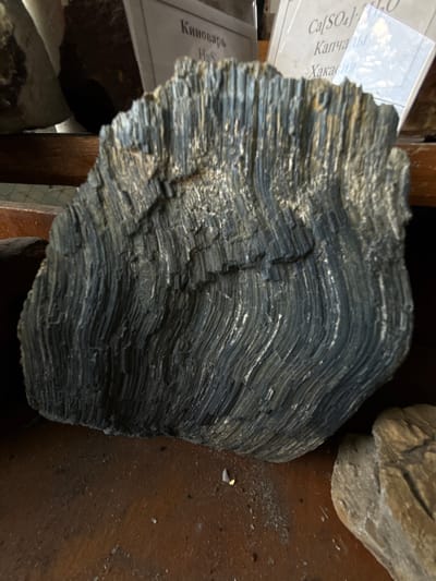 The image shows a close-up of a dark, layered rock specimen with a curved, almost fan-like structure. The rock exhibits distinct parallel striations, suggesting a sedimentary or metamorphic origin. Light-colored mineral deposits or veins are visible within the darker layers, adding texture and contrast. To the left of the rock, partially obscured, are pieces of paper with text. One piece of paper has "Ca[SO4]" and "Капчагай" and "Хакасия" in Cyrillic script. Another paper below it has "Киноварь" in Cyrillic script. In the background, to the right of the main rock, is another lighter-colored, rougher-textured rock. The overall setting appears to be indoors, possibly a shelf or display area, with a wooden surface visible beneath the rocks. The lighting is somewhat dim, highlighting the textures of the rocks. There are no people or animals present. The scene focuses solely on the geological specimens and accompanying labels.