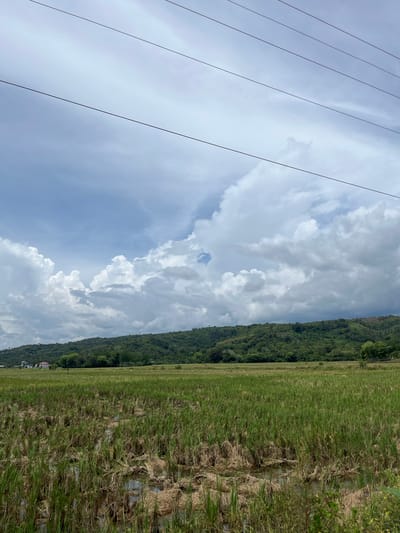 In Pulo Lhok, Indonesia, the image captures a pastoral landscape under a cloudy sky. A field of harvested rice stalks, some submerged in shallow water, occupies the foreground. Beyond this field, a lush green hillside, densely covered with trees, forms the midground. In the distance, the sky is dominated by dramatic, white cumulus clouds, with power lines diagonally traversing the upper portion of the frame. The scene suggests a rural setting, likely after a rice harvest, with typical Indonesian vegetation and infrastructure.