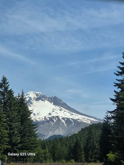 The image depicts a majestic, snow-capped mountain peak piercing a clear blue sky with wispy clouds. The mountain is framed by the lush green foliage of coniferous trees in the foreground and on the right side of the frame. The trees are dense, suggesting a forest setting at the base of the mountain. The mountain itself shows patches of snow, indicating a high altitude and possibly a cooler climate. Sunlight illuminates the scene, casting shadows on the mountain's rugged surface.
The perspective suggests the photo was taken from a slightly elevated position, looking upwards towards the mountain. The composition, with the trees framing the mountain and sky, creates a sense of depth and natural beauty. The image is oriented vertically, with the top of the mountain appearing on the left side of the frame.
Visible text in the bottom right corner reads "Galaxy S25 Ultra", indicating this is a photograph taken with a Samsung Galaxy S25 Ultra smartphone. There are no people visible in the image, nor any specific activities or events taking place. The weather appears to be clear and sunny, with the time of day likely to be daytime, given the bright illumination. The presence of the snow-capped mountain and dense forest suggests a location in a mountainous region, possibly during spring or summer when snow persists at higher elevations. The provided location context of Government Camp, USA, aligns with these visual cues, as Government Camp is known for its mountainous terrain and proximity to Mount Hood.