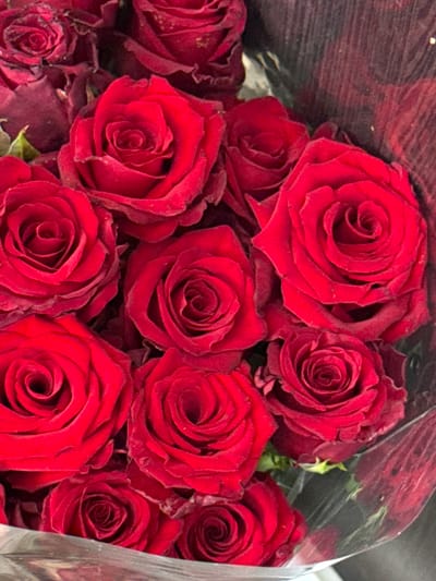 The image shows a close-up, overhead view of a bouquet of deep red roses. The roses are fully bloomed with tightly packed petals and some visible dew drops on their surfaces. The arrangement is wrapped in clear plastic packaging, which reflects the light and has a subtle wood-grain texture in the background. The lighting is soft, emphasizing the rich color of the roses. There are no people or discernible environmental features of Oktyabr'skoe, Russia present in the image.