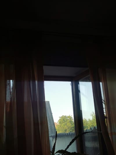 The image depicts a view through a window with light brown sheer curtains partially drawn. Outside, a textured light-colored wall is visible, topped with a zig-zag patterned roofline. Beyond the wall, lush green trees are present. To the left, a section of a gray, angular structure with a pointed top is visible. The scene is likely set in Carbuna, Moldova, given the architectural style and vegetation. A dark-colored plant with long, spiky leaves is positioned in the foreground on the right side of the window. The lighting suggests it is either early morning or late afternoon.