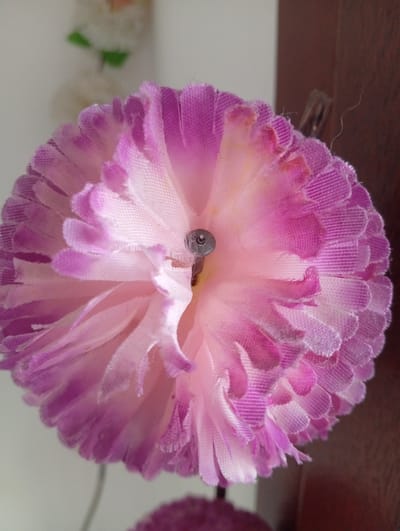 The media file shows a close-up of a decorative pink and purple flower. The flower appears to be made of fabric, with ruffled petals that have a gradient of color from light pink in the center to a deeper purple on the edges. A small, metallic object, possibly a tack or a staple, is visible in the center of the flower, holding its petals together. The background is out of focus, but suggests an indoor setting with a light-colored wall and a darker, wooden surface on the right side. There are some out-of-focus decorative elements in the upper left portion of the image, including what looks like a string of white and green decorations. The lighting is soft, indicating it might be daytime or from an indoor light source. There is no visible text in the image. The media file does not depict any people or specific activities. The overall impression is a still life composition focused on the texture and color of the artificial flower.