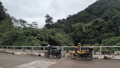 Two motorcycles are parked on the side of a road next to a concrete barrier and railing. The motorcycle on the left is dark green with a black seat and a helmet on the handlebars. The motorcycle on the right is yellow with a black seat and a black storage box on the rear. It also has a yellow helmet on the handlebars. The road is asphalt, and the barrier appears weathered. Behind the barrier is a steep, densely forested hillside with lush green vegetation and trees. The sky is overcast and grey. This scene appears to be located on a road in a mountainous or hilly area, likely within the Thượng Trạch Commune in Vietnam, given the lush tropical foliage.