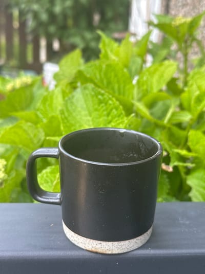 A black ceramic mug with a light speckled base sits on a dark gray railing. The mug is in focus, with the handle on the left side. Behind the mug, out of focus, is lush green foliage. The background appears to be a garden. There is no indication of the city of Macclesfield, United Kingdom.