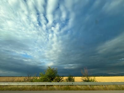 This image depicts a rural landscape in the city of Mirovo, Bulgaria. The scene is dominated by a dramatic sky filled with dark, heavy clouds in the upper half, contrasting with lighter, streaky clouds towards the left. Below the sky is a vast field of golden-brown crops, likely wheat or barley, stretching towards a distant line of hazy mountains. A silver guardrail runs horizontally across the lower portion of the image, separating the field from a strip of green and brown vegetation and a gray road. Several trees are scattered across the landscape, with one particularly lush green tree in the left mid-ground and a more sparse, leafless tree to its right. The overall impression is of an impending storm or the aftermath of one, with the light filtering through the clouds creating a moody atmosphere. No people or animals are visible in the frame.
