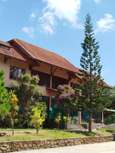 The image depicts a multi-story building with a terracotta tile roof, surrounded by lush greenery and trees under a clear blue sky with scattered white clouds. The building's facade is a light tan color, with dark-framed windows. Several trees are visible in the foreground and around the building, including a tall, slender pine tree to the right of the building. Some of the trees have purple flowers. A sign with Vietnamese text is partially visible on the left side of the building, indicating a location in Lac Duong, Vietnam. The scene appears to be well-maintained, with a stone retaining wall and a paved walkway in the foreground. The overall impression is one of a serene and natural setting.