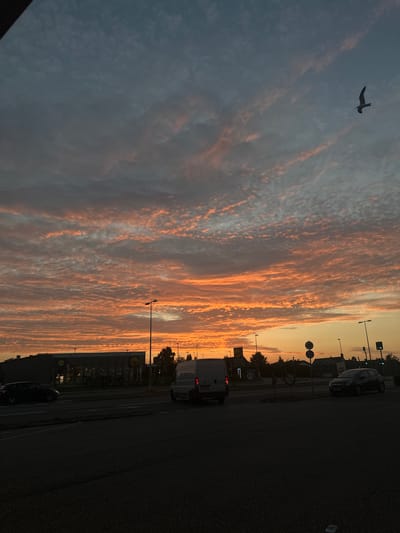 The image depicts a street scene in Snoghøj, Denmark, during a sunset. The sky is filled with dramatic clouds, painted in vibrant shades of orange and pink, transitioning to a dusky blue. A solitary seagull is captured in mid-flight against the colorful sky in the upper right quadrant of the image.
In the foreground, a paved road or parking lot is visible, with dark asphalt dominating the lower portion of the frame. Traffic lights and street lamps are intermittently spaced along the road.
Several vehicles are present. On the left, a dark-colored car is driving on the road. In the center, a white van is parked or moving slowly. On the right side of the road, a dark-colored hatchback is visible, and further in the distance, another car can be seen.
A building, identified as a Lidl supermarket by its prominent yellow logo, is situated in the background. The building has large glass windows, and some interior lights are on, suggesting it is open for business. The surrounding area appears to be a commercial or retail zone, with trees and streetlights visible. The overall impression is a typical urban or suburban environment bathed in the warm glow of the setting sun.