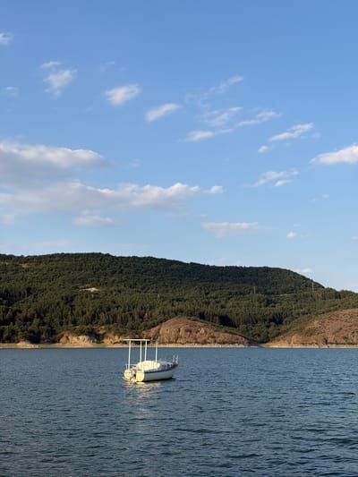 A serene daytime scene captures a small white boat with a white canopy sailing on a calm blue body of water. The water's surface is rippled, reflecting the clear blue sky dotted with scattered white clouds. In the background, a dense, dark green forest covers rolling hills. The shoreline where the water meets the land is a mixture of rocky outcrops and patches of dry earth. The overall impression is one of tranquility and natural beauty. The image does not contain any people.