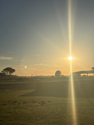 The image displays an outdoor scene in Port Alfred, South Africa, during either sunrise or sunset, characterized by warm, golden light and long shadows. The sun is visible in the upper right quadrant, appearing as a bright, circular disc with a prominent vertical lens flare extending through the frame. A distinct green lens flare is present in the upper-mid left.

The foreground consists of a large expanse of mown green grass, featuring several small, irregular mounds of earth. In the midground, a dark, rectangular, low-profile structure or wall is positioned, casting a long shadow to its left. To the immediate right of this structure, partially obscured by sun flare, a covered shelter with a peaked roof is visible. Behind the central structure and shelter, several small, white-colored aircraft, consistent with light aircraft or gliders, are parked stationary on a grassy or unpaved strip.

The background reveals a line of diverse trees, including a prominent, full-canopied tree on the far left. Beyond these trees, electrical pylons or utility poles with visible lines stretch across the horizon. Distant terrain and faint structural outlines are discernible through atmospheric haze. No individuals or active interactions are depicted within the scene.