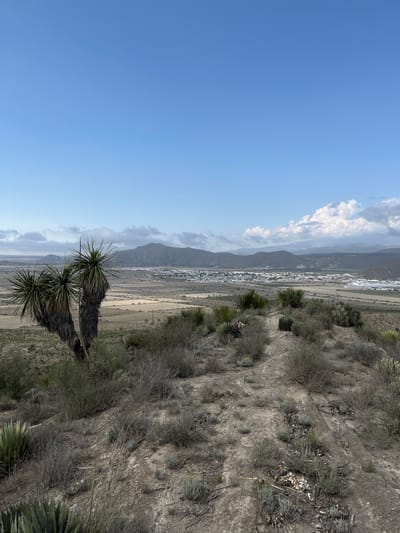The image shows a landscape in Alchichica, Mexico, with a clear blue sky partially obscured by scattered clouds. In the distance, a mountain range is visible, and at its base, a flat plain stretches out, featuring what appears to be agricultural fields or possibly the edge of the town of Alchichica. A cluster of three Yucca plants are in the foreground along with the rugged terrain of the slope. The foreground is dominated by a dry, rocky slope covered in sparse vegetation.