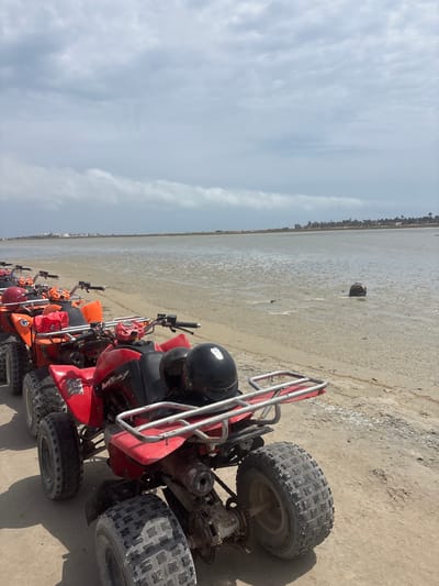 A line of red and orange quad bikes are parked on a sandy shore next to a body of calm, grey water. The quad bikes are positioned diagonally from the bottom right corner to the middle left of the image. Each quad bike has a black helmet on its seat. In the background, a distant tree line with palm trees separates the water from a hazy, pale blue sky filled with wispy clouds. The overall scene appears to be a natural outdoor setting, possibly a coastal area, with an overcast sky.