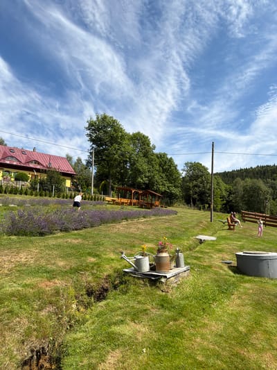 This outdoor photograph captures a scenic view of a garden area in Świeradów-Zdrój, Poland. The foreground features a lush green lawn with a small, eroded ditch. To the right of the ditch, a collection of gardening items is arranged on a concrete slab, including two watering cans, one rusty milk churn, and a smaller metallic object, with a pot of colorful flowers placed on top of the churn. Further to the right, a circular concrete structure, possibly a wellhead or fire pit, is visible.
In the middle ground, a person in a white t-shirt and dark shorts is tending to a large patch of purple lavender. Behind the lavender field, a wooden gazebo with benches is situated on a grassy slope. Further back, a yellow house with a red, multi-gabled roof and dormer windows is visible, surrounded by manicured hedges and trees. A wooden fence runs along the property.
In the background, dense green trees and hills create a backdrop, with a clear blue sky dotted with wispy white clouds. Several people are present in the scene: two individuals are seated on a wooden bench on the right side of the frame, and a young child in pink attire is standing near a wooden fence on the far right. A utility pole with wires is also visible. The overall impression is one of a tranquil, rural landscape with signs of human activity and cultivation.