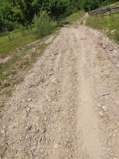 The image shows a dirt road in a rural area, likely in Hoverla, Ukraine, given the provided context. The road is unpaved and composed of dirt and gravel, with visible tire tracks indicating it is used by vehicles. Lush green trees and vegetation border the road on both sides, with some areas of grass and smaller bushes. In the background, a rustic wooden fence is visible, suggesting the presence of farmland or a property boundary. The sky is not visible, but the lighting suggests it is daytime with sunlight casting shadows on the road. There are no people or animals present in the image. The scene depicts a natural, undeveloped landscape.