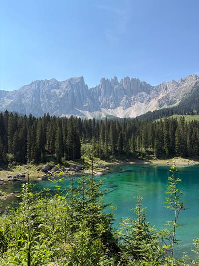 This media file captures a serene mountain landscape. The primary subjects are a majestic mountain range with jagged peaks and a pristine, turquoise lake. A dense evergreen forest lines the edge of the lake, creating a striking contrast with the rocky mountains. The foreground is filled with lush green foliage, with branches of trees obscuring parts of the view, suggesting an intimate perspective of nature.
The scene is set during the day, indicated by the bright sunlight casting shadows and illuminating the water's clarity. The sky is a clear, vibrant blue. The location appears to be a natural environment, likely a hiking or scenic spot, given the untouched beauty of the mountains and the lake. There are no people or discernible objects within the scene, emphasizing the natural and tranquil atmosphere. The overall mood is one of peace and awe, highlighting the grandeur of the natural world. No text is visible in the image. The location context provided is Welschnofen - Nova Levante, Italy, which aligns with the visual cues of alpine scenery.