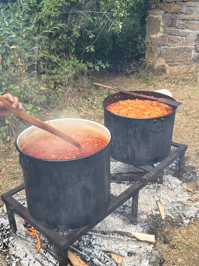 This image depicts an outdoor cooking scene, likely in Manaselska Reka, Bulgaria. Two large, dark pots are placed on a metal grate over a fire, indicating a rustic or communal cooking setup. The pot in the foreground, with a white rim, contains a simmering red stew, and a wooden spoon is being used to stir it. A hand is visible holding the spoon. To the right, another dark pot holds a dish with orange-colored ingredients, possibly cabbage or a similar vegetable. The background features dense green foliage and a section of a stone wall with numbered markings ("29" and "22"), suggesting it might be part of an outdoor structure or historical site. The ground is covered in dry grass and ash from the fire.