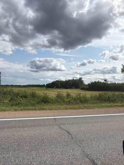 This image depicts a roadside scene in Odukalns, Latvia. The composition is dominated by a dark, asphalt road on the right side, with a white line marking its edge. To the left of the road is a grassy verge, followed by a field and a dense line of trees forming a distant treeline. The sky above is a mix of blue and dramatic, dark gray clouds, suggesting unsettled weather or possibly late afternoon light. The overall scene evokes a sense of open space and a rural environment. No people or specific objects are clearly identifiable as subjects, other than the road and natural elements. The image appears to be taken during daylight hours, though the exact time is ambiguous due to the cloud cover. There is no visible text in the image.