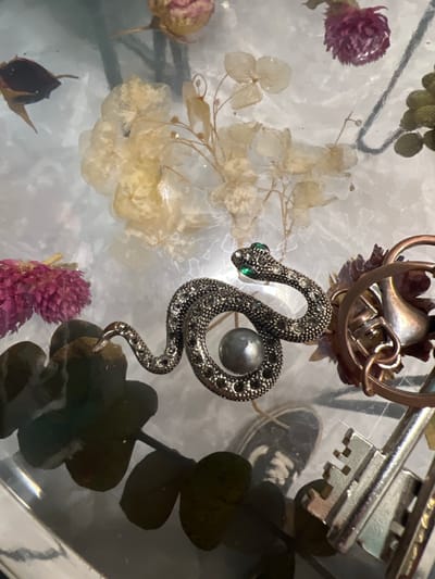 A close-up, top-down shot showcases a collection of dried flowers, a snake figurine adorned with small clear and green stones, and a large grey pearl. The snake is coiled, with its head and tail raised, and its body is encrusted with tiny reflective stones. The pearl is positioned near the center of the snake's coil. In the background, various dried floral elements are visible, including pale yellow and pinkish-red blooms, as well as dark green leaves. To the right, a copper-colored object with a circular design and part of a key are also visible. The scene appears to be an indoor still life arrangement, possibly on a glass surface given the reflections. There are no people or any indications of activity or interaction. There is no information available to determine the location in the city of Ленинский, Russia.