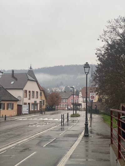 This image depicts an overcast and damp daytime street scene in Mutzig, France, specifically looking southeast along Rue du Docteur Schweitzer towards Église Saint-Maurice. The asphalt road is wet, suggesting recent precipitation, and appears empty of both vehicles and pedestrians.
In the foreground on the right, a red metal railing runs alongside a paved sidewalk that features a tactile paving strip. A dark waste bin is partially visible behind the railing. A black, ornate lamppost with a glass lantern stands on this sidewalk. Further along the sidewalk, a white circular "ZONE 30" sign with a red border is mounted on a pole, indicating a 30 km/h speed limit zone, with a blue circular mandatory direction sign below it.
The midground features the wet road marked with white lines, including several transverse white speed humps or rumble strips. Black bollards delineate a small planted median strip. On the left side of the road, a light orange building with dark brown shutters on its windows displays a white satellite dish. Adjacent to it stands a three-story building with a light beige/pink facade and a brown tiled roof. This building has multiple white-framed windows, a statuette in an alcove on its upper level, and a distinctive decorative turret topped with a spire. Further down the street, additional buildings with varied facades (pink, white, yellow) are visible, along with a bare deciduous tree showing some orange-brown foliage.
The background shows a residential area with houses scattered across rising hills. The upper portions of these hills are obscured by a thick layer of fog or low clouds. The prominent spire of Église Saint-Maurice, a Gothic-style church, rises above the distant tree line and houses, slightly to the right of the image center, partially enveloped in the atmospheric mist.