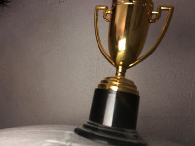 This close-up, angled image features a decorative object, likely part of a light fixture or a trophy, against a light grey, finely textured background. The primary subject is a highly reflective, shiny golden object, which has an elongated central body and two gracefully curved golden arms extending from its sides, forming an arch or bracket-like structure. Bright highlights are visible on its polished surface, indicating direct lighting.
The golden component connects to a contrasting, matte black, cylindrical element at its upper end. This black element features subtle horizontal ridges near the point of attachment. The background consists of a uniform, light grey surface with a consistent, fine granular or speckled texture, resembling a wall or ceiling.
No specific activity or event is taking place; the image is a static portrayal of an object. There are no visible people or discernible text. The image is significantly tilted, presenting the object from an unconventional perspective. The lighting appears to be artificial and internal, given the bright reflections and even illumination of the textured background. While the location context of Letnitsa, Bulgaria, is provided, there are no visual cues within the image itself to confirm this specific geographical setting.