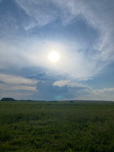 An outdoor, vertical, medium shot captures a sunlit grassy field under a vast sky in Il'inka, Russia. The sun, a bright orb, shines prominently in the upper center of the frame, partially obscured by wispy clouds that streak across the blue expanse. Dramatic, dark storm clouds gather on the horizon, contrasting with the lighter, scattered clouds. The foreground is dominated by a verdant, sun-drenched field of grass. In the distance, a tree line marks the edge of the field, and a few distant poles are visible. The scene is devoid of any people or animals, presenting a natural landscape under a dynamic sky.