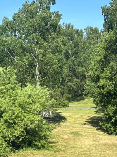 A bright, sunny day is captured in this image of a park or wooded area in Rudamina, Lithuania. The scene is dominated by lush green trees with dense foliage, creating a natural and serene environment. In the background, a well-maintained grassy area slopes gently upwards, with a faint path winding through it. A small, light-colored structure, possibly a shed or a small building, is visible among the trees on the left side of the image. The sky above is a clear, vibrant blue, indicating fair weather. The overall impression is one of a peaceful, natural landscape on a beautiful summer day.