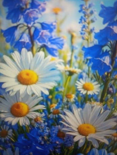 This is a close-up, out-of-focus image of a floral arrangement featuring daisies and blue flowers, likely delphiniums or similar. The daisies are white with yellow centers, and the blue flowers are clustered in tall spires. The background is a soft blur of blue and green, suggesting an outdoor setting with a bright sky. There are no people, objects, or identifiable landmarks visible that would indicate a specific location in the city of Кенжекөл, Kazakhstan.
