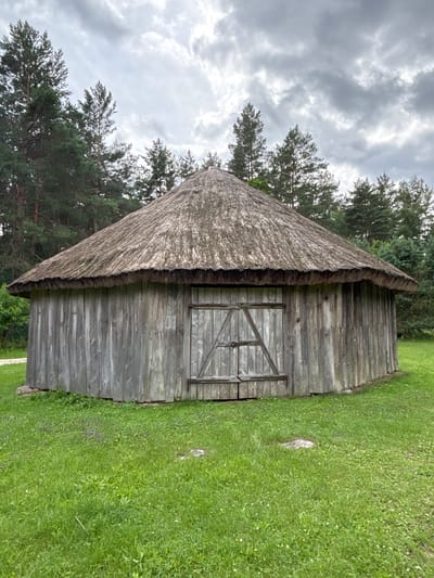 The image shows a rustic wooden barn with a thatched roof, set against a backdrop of lush green grass and trees. The barn's exterior is constructed from weathered wooden planks, and it features a simple wooden door with a diagonal cross bracing. The thatched roof is thick and textured, providing a traditional aesthetic.

The scene appears to be outdoors, possibly in a rural or historical setting. The grass in front of the barn is neatly mown, with a few small white flowers scattered throughout. To the left of the barn, dense green trees create a natural boundary, and further beyond, a dramatic sky filled with dark, heavy clouds suggests an overcast or stormy weather condition. The overall mood is serene and slightly dramatic due to the sky.

No people are visible in the image. The focus is solely on the barn and its natural surroundings. There is no visible text in the image. The orientation of the image, with the barn running diagonally, gives a dynamic perspective to the scene. The lighting is diffused, consistent with an overcast day, and the colors are predominantly muted greens, browns, and grays. The presence of the barn with its traditional construction and the natural landscape might indicate a historical reenactment site, a museum, or a preserved rural property in Sielachowskie, Poland.