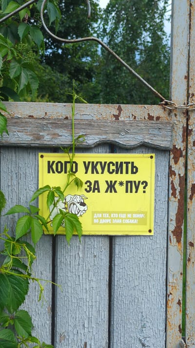 In Zavolen'e, Russia, a yellow warning sign is attached to a weathered, grey wooden gate. The sign features a drawing of a bulldog and text in Russian. The top line of text reads "КОГО УКУСИТЬ" which translates to "Whom to bite." The second line reads "ЗА Ж*ПУ?" which is a vulgar way of asking "In the ass?". Below this, in smaller text, it says "ДЛЯ ТЕХ, КТО ЕЩЕ НЕ ПОНЯЛ: ВО ДВОРЕ ЗЛАЯ СОБАКА!" which translates to "For those who still haven't understood: there's an angry dog in the yard!". Green vines with leaves are growing over the gate and partially obscuring the sign. The gate is adjacent to a rusty metal post with a chain. In the background, lush green trees are visible.