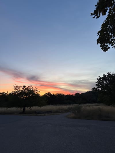 The image depicts a serene natural landscape at dusk, featuring a sky painted with hues of blue, pink, and orange from the setting sun. In the foreground, a dark asphalt path curves through dry, tall grass, leading towards a wooded area. A solitary tree stands prominently on the left side of the path, silhouetted against the sky, with a fallen log resting nearby. The background is dominated by a dense line of trees, with the sky above gradually transitioning from the vibrant sunset colors to a deep twilight blue. The scene suggests a park or a natural reserve on the outskirts of a city. This image does not depict Ludwigshafen am Rhein, Germany, as there are no discernible landmarks or elements that specifically place it in that location.
