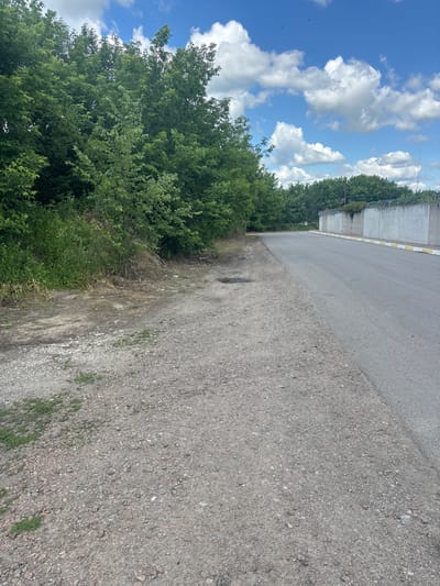 The media file captures an outdoor scene at eye level, oriented vertically. The image showcases a roadside environment with lush green trees bordering a paved road. The road appears to be a two-lane asphalt surface, with a rougher gravel shoulder on the right side of the frame.
In the background, a concrete wall with a yellow and white striped border runs along the edge of the road, topped with barbed wire. Beyond the wall, more trees are visible, suggesting a densely vegetated area. The sky is a vibrant blue with fluffy white clouds, indicating fair weather. A few power lines are faintly visible against the sky.
The scene is likely set during the daytime, given the bright natural light and the clear sky. There are no people or specific objects of interest in the foreground or midground, focusing instead on the natural and man-made elements of the roadside. The overall impression is one of a quiet, possibly rural or semi-rural location.
There is no visible text in the image. The orientation suggests the photo might have been taken with a mobile phone, and the vertical framing emphasizes the height of the trees and the wall. The location context provided is Pereiaslavske, Ukraine.