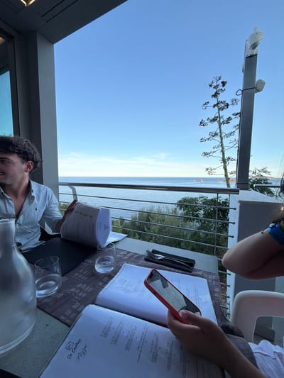 The image depicts a scene from a restaurant with a view of the sea, likely in Santa Maria Navarrese, Italy. Two individuals are seated at a table. On the left, a young man with dark, curly hair, wearing a light blue and white striped button-down shirt, is looking away from the camera. In front of him, on the table, is a menu, a glass carafe, and a partially filled glass of water. On the right side of the table, a person, whose arm and shoulder are visible, is holding a red smartphone and looking at a menu. The table also has place settings with cutlery and napkins. The restaurant appears to have an outdoor dining area with a railing overlooking the sea. The sea is calm, with a clear blue sky above and some rocky outcrops in the distance. A tall, spindly plant is visible in the background, as is a lamppost with two lights.