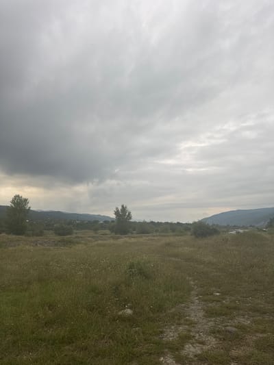 The image depicts a wide landscape view of Aragvispiri, Georgia, under an overcast sky with dramatic clouds. In the foreground, a field of tall green grass is dotted with small white and yellow wildflowers. A narrow, rocky path runs diagonally from the lower right corner towards the center of the frame. In the mid-ground, several trees are scattered across the terrain, with two larger trees prominent on the left and right. Beyond the field, a village or town is visible nestled amongst hills, characterized by scattered houses and a prominent industrial chimney. The background is dominated by rolling, verdant hills and mountains that fade into the hazy sky. The overall atmosphere is somber and natural.