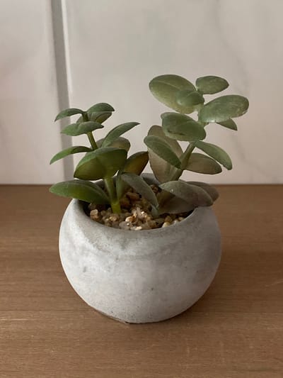 The image shows a small, artificial succulent plant in a grey, round pot sitting on a wooden surface. The background is a light-colored, textured wall with a vertical white element on the left. The plant has several green, fleshy leaves. The pot is filled with small, light-colored pebbles. There are no people visible in the image, and no specific location in Lütjenwestedt, Germany, can be identified from the visual information.