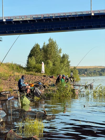 The image depicts a fishing competition taking place on the bank of the river near Tarasovo, Russia. A group of people are seated on chairs by the water's edge, each with fishing rods cast into the river. They are positioned under a large blue bridge with red railings. The environment is natural, with trees and vegetation lining the riverbank and a clear blue sky above. The water is calm, reflecting the blue of the sky and the surrounding greenery. Fishing equipment, including nets and bait buckets, are visible around the fishermen. The overall scene suggests a peaceful outdoor activity focused on angling.