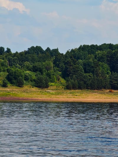 The image depicts a natural landscape dominated by a body of water in the foreground and a densely forested hillside in the background. The water exhibits ripples and reflections, suggesting a gentle current or breeze. The shoreline separating the water from the land is a strip of dry, sandy earth with patches of green vegetation.
The hillside is covered in a thick growth of various trees, primarily coniferous species with some deciduous trees interspersed. The foliage is lush and green, indicating a likely summer or late spring season. Sunlight illuminates the scene, casting shadows and highlighting the textures of the trees and the terrain. The sky above is a pale blue, with scattered white clouds.
Two thin, vertical poles, likely utility poles, are visible on the left side of the hillside, suggesting the proximity of human infrastructure to this natural setting. A small patch of reddish-brown vegetation stands out against the green on the far right of the hillside. The overall impression is one of a serene, undeveloped natural environment. The location in Erkalovo, Russia, implies this scene is a representation of the natural beauty found in that region, potentially a lake or riverbank within or near the city.