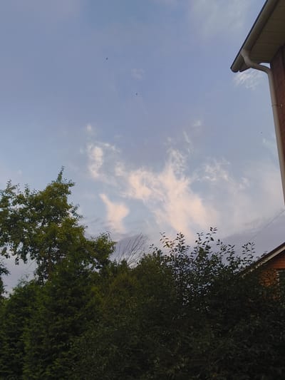 The image shows a view of the sky and treetops in Мещерино, Russia. A white gutter and a section of a brick building are visible in the upper right corner. Thin, wispy clouds are scattered across the pale blue sky, with a few small dark specks that could be birds in flight. Lush green trees, including a tall tree with visible leaves and branches in the left foreground, dominate the lower portion of the frame. The overall impression is of an outdoor scene, possibly during late afternoon or early evening, with a mix of natural elements and residential structures.