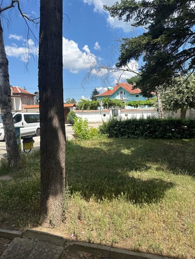 The image depicts a daytime scene in a residential area, likely Ovoshtnik, Bulgaria. The foreground is dominated by the rough bark of a large tree trunk. Beyond the tree, a neatly trimmed green hedge separates a grassy area from a row of houses. One house is painted a pale blue with a terracotta roof, featuring white trim around the windows. To the right of the blue house, more houses with terracotta roofs are visible. A white van is parked in front of some of these houses, alongside a yellow bin and some dark bags. The sky above is a vibrant blue with scattered white clouds. Sunlight casts distinct shadows across the grass, indicating a sunny day. The overall impression is one of a peaceful, sunlit suburban environment.