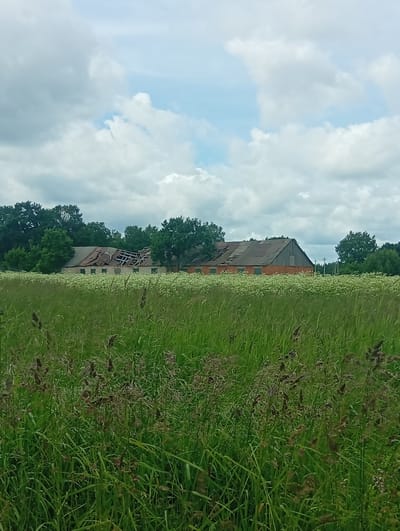 This media file depicts an outdoor scene with two dilapidated brick buildings in the background, likely abandoned farm structures. One building has a significantly damaged roof, with visible rafters and holes exposing the sky. The other building, to the right, appears to be in slightly better condition but still shows signs of disrepair. Both buildings are situated behind a dense field of tall green grass and white wildflowers. In the distance, a line of trees forms the horizon. The sky is cloudy with patches of blue peeking through. The overall impression is one of neglect and the passage of time in a rural setting. The image was taken in Šaukėnai, Lithuania. There is no text visible in the image. The time of day appears to be daytime, with overcast but bright conditions.