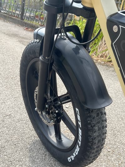 The image is a close-up, eye-level shot of the front wheel, fender, and part of the frame of a fat-tire bicycle, likely an electric bike, parked outdoors on a paved surface. The tire is black with white lettering that reads "CST BFT 20X4.0". A black disc brake rotor is visible behind the wheel spokes. The bicycle's black front fork and fender are prominent. The background shows a metal fence with ornate scrollwork, potted plants behind the fence, and dry foliage. The ground is paved with asphalt. The lighting suggests it is daytime, possibly overcast. No people or animals are present in the image. The scene appears to be a residential street or sidewalk. The city of Mussolini, Italy, is not identifiable in this image.
