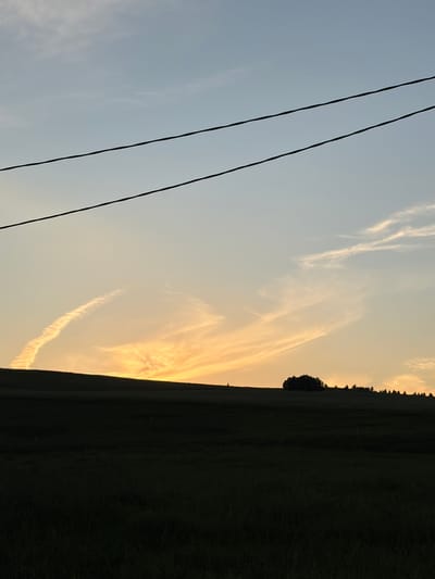 This media file depicts a landscape scene at sunset. The foreground features three dark, diagonal power lines stretching across a pale blue sky. The sky transitions to a warmer, golden hue further to the right, illuminated by the setting sun. Wispy, elongated clouds are visible in this brighter part of the sky, with some appearing tinged with orange and yellow.

The midground is dominated by a dark silhouette of a grassy field that slopes upwards towards the horizon. A single, dark, rounded tree stands out against the sky in the middle right of the frame, with a thin line of darker trees forming the horizon. The overall impression is one of a rural setting in the late evening. The time of day is clearly sunset due to the warm lighting and the colors in the sky. The weather appears clear apart from the clouds. There is no visible text in the image.