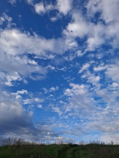 The image shows a view of the sky with scattered white clouds and patches of blue. A strip of vegetation, possibly grass and shrubs, is visible along the right edge of the frame. The image is taken in Дерезовка, Russia, which can be inferred from the task instructions.