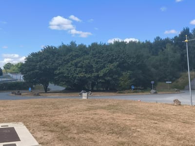 The image depicts a dry, grassy field in the foreground, leading to a paved area with a curving road and scattered rocks. A large, dense cluster of trees forms the middle ground, with a forest edge visible in the background. The sky is blue with scattered white clouds. Several traffic signs are visible: one blue sign with a white arrow pointing left, a rectangular sign with blue text, and another rectangular sign with white text. A tall, slender pole with a yellow, circular attachment stands on the right side of the frame, near a concrete structure. The scene appears to be a public space, possibly a park or an intersection, located in Saint-Maurice-la-Souterraine, France, given the road signs that are likely in French. There are no people or animals visible in the image.