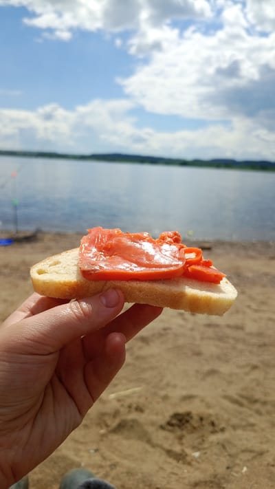 This image captures a close-up, low-angle perspective of a hand holding a slice of bread topped with a reddish-orange spread against the backdrop of a natural landscape in Шолья, Russia. The human hand, with visible knuckles and short fingernails, occupies the lower center of the frame, firmly grasping a single slice of light-colored bread. The bread has a light golden-brown crust along its bottom edge and is generously covered with a thick, glossy, reddish-orange substance, likely a fish-based spread or roe. Several smaller, brighter orange pieces are also visible on the spread.
The background transitions from a sandy shore in the midground to a vast body of water, possibly a lake or wide river, stretching horizontally. On the left side of the midground, a fishing rod with a red float and a green tip is partially visible, either set in the water or leaning on the shore. A small blue object rests on the sand near the water's edge. Beyond the water, a dark line of trees or distant land forms the horizon. The sky above is a clear blue, filled with numerous large, white cumulus clouds, indicating a bright, partly cloudy day.
