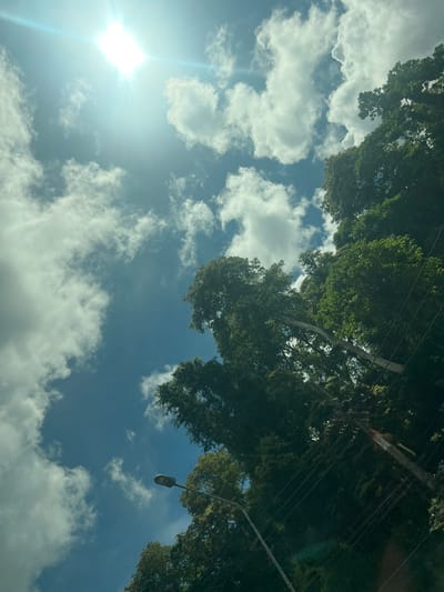 This image captures a view looking up at the sky through lush green trees, suggesting an outdoor setting in a tropical or subtropical location. The bright sun is visible in the upper left portion of the frame, with a lens flare indicating a sunny day. Scattered white clouds are present in a clear blue sky. The dense foliage of the trees dominates the upper half of the image, with some power lines visible running through the branches. A street light fixture hangs from a pole amongst the trees, implying an urban or suburban environment. The overall impression is of a warm, bright day in a verdant location.