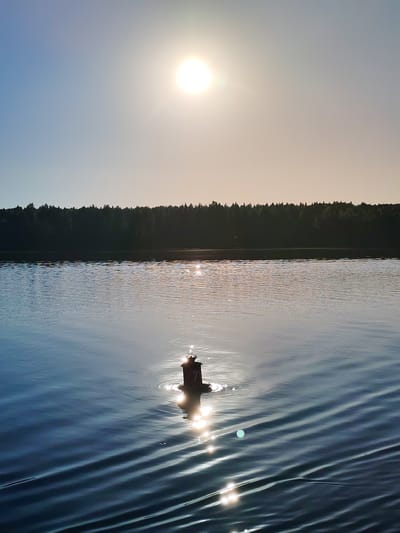 This image depicts a natural landscape in Rodino, Russia, featuring a body of water under a bright sky, likely during sunrise or sunset. The sun, a luminous orb with a distinct starburst effect, is situated in the upper right quadrant against a clear sky that transitions from a pale blue on the left to a warm, light gold on the right. A dark, unbroken treeline, characteristic of a dense forest, forms the horizon across the mid-background. The majority of the image is comprised of the water surface, which displays subtle ripples and numerous bright, shimmering reflections of the sun. In the lower-middle foreground, a dark, cylindrical object, identified as a buoy or navigational marker, floats partially submerged. It features a small, lighter-colored element at its apex, and a faint white numeral "7" is vertically inscribed on its visible side. Concentric ripples emanate from the buoy's base. No human figures or discernible animals are present in the scene.