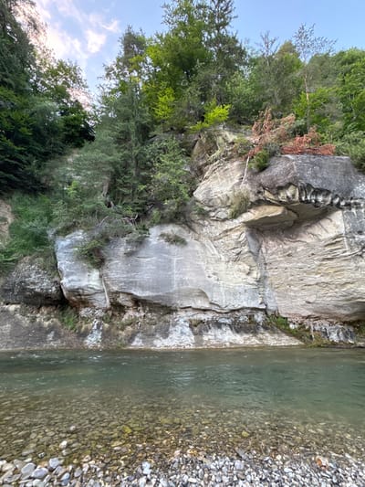 The image depicts a rocky cliff face overlooking a river in Bois-d’Amont, Switzerland. The cliff is composed of light-colored sedimentary rock with visible striations and weathering patterns. Green foliage, including trees and smaller plants, grows on the cliff and at its base. A section of reddish-brown, dead branches is visible on the upper part of the cliff.

The river in the foreground has clear, greenish water, and its bed is visible, covered with smooth, rounded stones and pebbles. The shoreline is also made up of these stones. The sky above is a pale blue with scattered white clouds, suggesting it is daytime. There are no people or animals visible in the scene. The overall environment is natural and undeveloped.