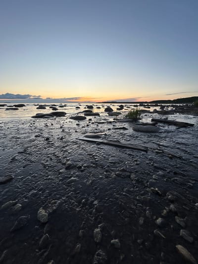 This is a vertical, eye-level shot of a rocky shoreline at dusk in Haabneeme alevik, Estonia. The foreground is dominated by dark, wet rocks and pebbles interspersed with shallow, rippling water that reflects the muted tones of the sky. In the middle ground, larger, smoother rocks emerge from the water, with some sparse grass growing between them. A few pieces of driftwood are scattered among the rocks. The horizon features a calm body of water, likely the sea, with a line of dark land and trees visible in the distance. The sky above transitions from a pale blue at the top to warmer hues of orange and yellow near the horizon, indicating the setting sun. There are a few scattered clouds, some dark and low-lying on the left, and lighter wisps of cloud further out. No people or animals are present. The overall atmosphere is serene and natural.