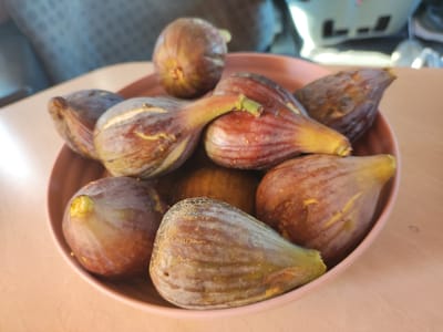 A close-up shot captures a shallow pink bowl filled with ripe figs. The figs are various shades of purple and brown, with some exhibiting a greenish hue. Their skins have a slightly wrinkled texture, and a few show natural cracking. The stems of some figs are visible, appearing green and woody. The figs are arranged somewhat haphazardly in the bowl, some overlapping.
The bowl sits on a light brown, textured surface, possibly a wooden table. The background is blurred, with hints of muted colors. To the left, a portion of a dark, textured material is visible, possibly fabric. To the right and in the upper background, a bright, reflective surface with dark rectangular shapes suggests a window or a piece of furniture with reflective elements. The lighting appears to be natural, creating soft shadows and highlighting the textures of the figs. The overall mood is simple and domestic, focusing on the fresh fruit. No people are visible, and there is no visible text. The scene appears to be set indoors during daylight.