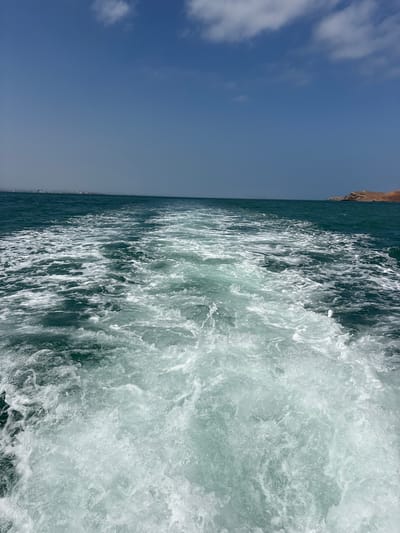 The image captures a dynamic scene of a boat's wake churning through the ocean. The perspective is low, looking out from the boat towards the side and rear. The left side of the image is dominated by a vast expanse of clear blue sky with a few scattered white clouds, suggesting a fair weather day. The horizon line is visible, separating the sky from the dark blue ocean.
On the right side of the frame, the powerful wake of the boat creates a turbulent and foamy texture. White water churns and splashes, catching the sunlight and creating a shimmering effect. The deep green of the ocean water transitions into the bright white of the foam. In the far distance along the left horizon, a hazy coastline is faintly visible, with some hints of structures, and what appears to be a rocky cliff face at the top left of the image.
The overall impression is one of movement and the power of the sea. The sunlight suggests it is daytime, likely mid-morning or afternoon given the clear sky. The activity is the boat traveling through the water, leaving its wake behind. The location in Callao, Peru, implies a coastal environment. There is no visible text in the image.